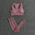 Women Seamless Yoga Set Fitness Sports Suits Gym Clothing Long Sleeve Crop Top Shirts High Waist Running Leggings Workout Pants JadeMoghul Inc. 