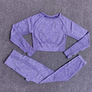 Women Seamless Yoga Set Fitness Sports Suits Gym Clothing Long Sleeve Crop Top Shirts High Waist Running Leggings Workout Pants JadeMoghul Inc. 