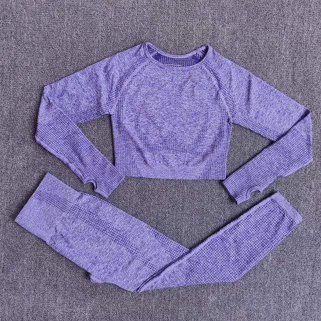 Women Seamless Yoga Set Fitness Sports Suits Gym Clothing Long Sleeve Crop Top Shirts High Waist Running Leggings Workout Pants JadeMoghul Inc. 