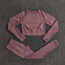Women Seamless Yoga Set Fitness Sports Suits Gym Clothing Long Sleeve Crop Top Shirts High Waist Running Leggings Workout Pants JadeMoghul Inc. 