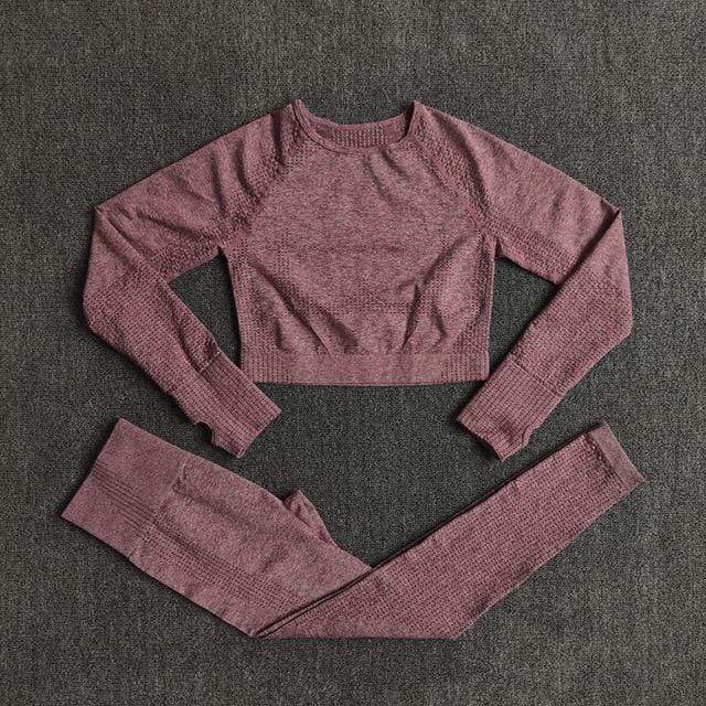 Women Seamless Yoga Set Fitness Sports Suits Gym Clothing Long Sleeve Crop Top Shirts High Waist Running Leggings Workout Pants JadeMoghul Inc. 