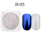 Women Shell Mirror Nail Powder Pigment-B05-JadeMoghul Inc.