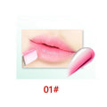 Women Two Color Tint water Proof Glossy Lipstick