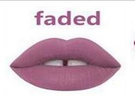 Women Vibrant Colors Matte Liquid Lipstick-Faded-JadeMoghul Inc.