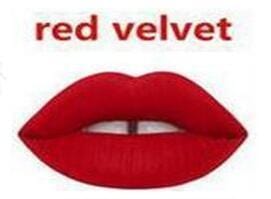 Women Vibrant Colors Matte Liquid Lipstick-Red velvet-JadeMoghul Inc.