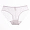 Women's Underwear Viscose Lace Panties In Extended Sizes