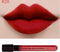 Women Waterproof Matte / Glossy Liquid Lip Color