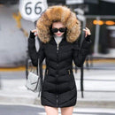 Women Winter Metallic Puffer Jacket