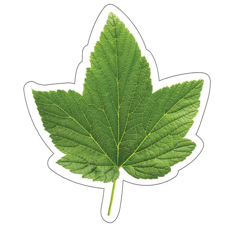 WOODLAND WHIMSY GREEN LEAF CUT-OUTS-Learning Materials-JadeMoghul Inc.