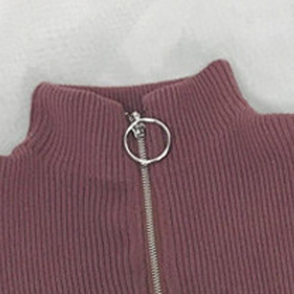 Zipper Turtleneck Solid Women Sweater